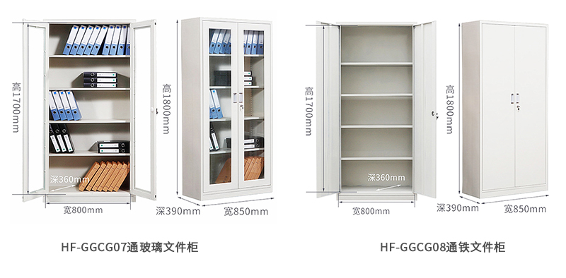 海發(fā)HF-GGCG系列文件柜 深圳海發(fā)辦公家具